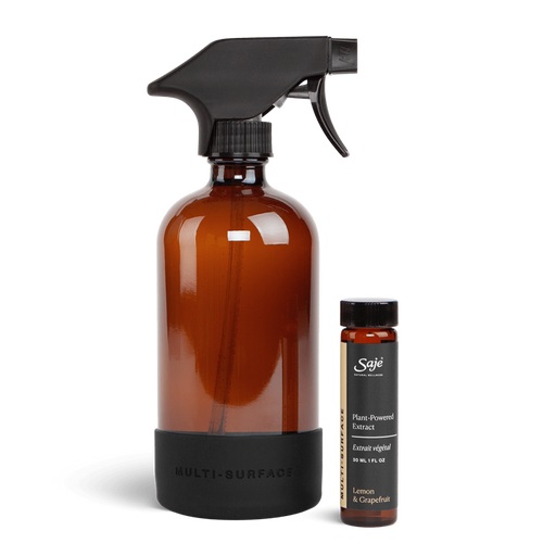 Multi-Surface Cleaning Kit