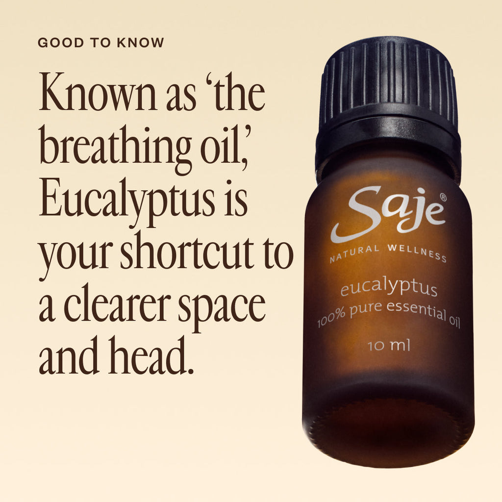 Eucalyptus Oil