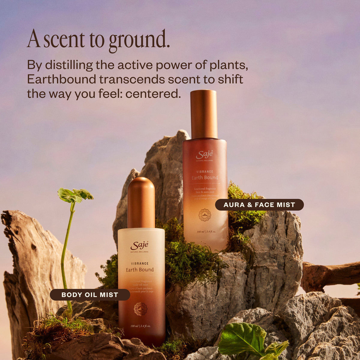 Vibrance Earth Bound